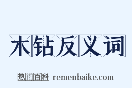 木钻反义词是什么意思的图片